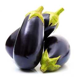 En elegant Avokado, Mogen avokado från Mexico med naturligt utseende och känsla. Detaljerad utformning med realistiskt bladverk. 