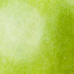 En elegant Rädisa, Närodlad rädisa med naturligt utseende och känsla. Detaljerad utformning med realistiskt bladverk. 