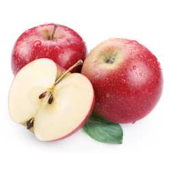 En elegant Rädisa, Närodlad rädisa med naturligt utseende och känsla. Detaljerad utformning med realistiskt bladverk. 