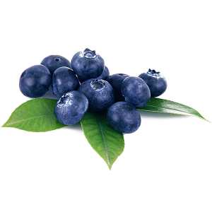 En elegant Blåbär, Närodlade blåbär med naturligt utseende och känsla. Detaljerad utformning med realistiskt bladverk. 