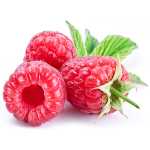 En elegant Hallon (Volympris), Små goda röda bär med naturligt utseende och känsla. Detaljerad utformning med realistiskt bladverk. 