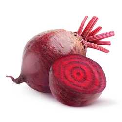 En elegant Rödbeta, Närodlad rödbeta med naturligt utseende och känsla. Detaljerad utformning med realistiskt bladverk. 