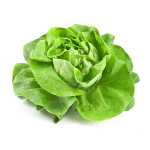 En elegant Sallad, Närodlad sallad med naturligt utseende och känsla. Detaljerad utformning med realistiskt bladverk. 