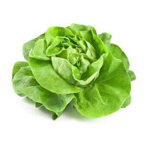 En elegant Sallad, Närodlad sallad med naturligt utseende och känsla. Detaljerad utformning med realistiskt bladverk. 