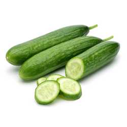 En elegant Slanggurka, Närodlad slanggurka med naturligt utseende och känsla. Detaljerad utformning med realistiskt bladverk. 